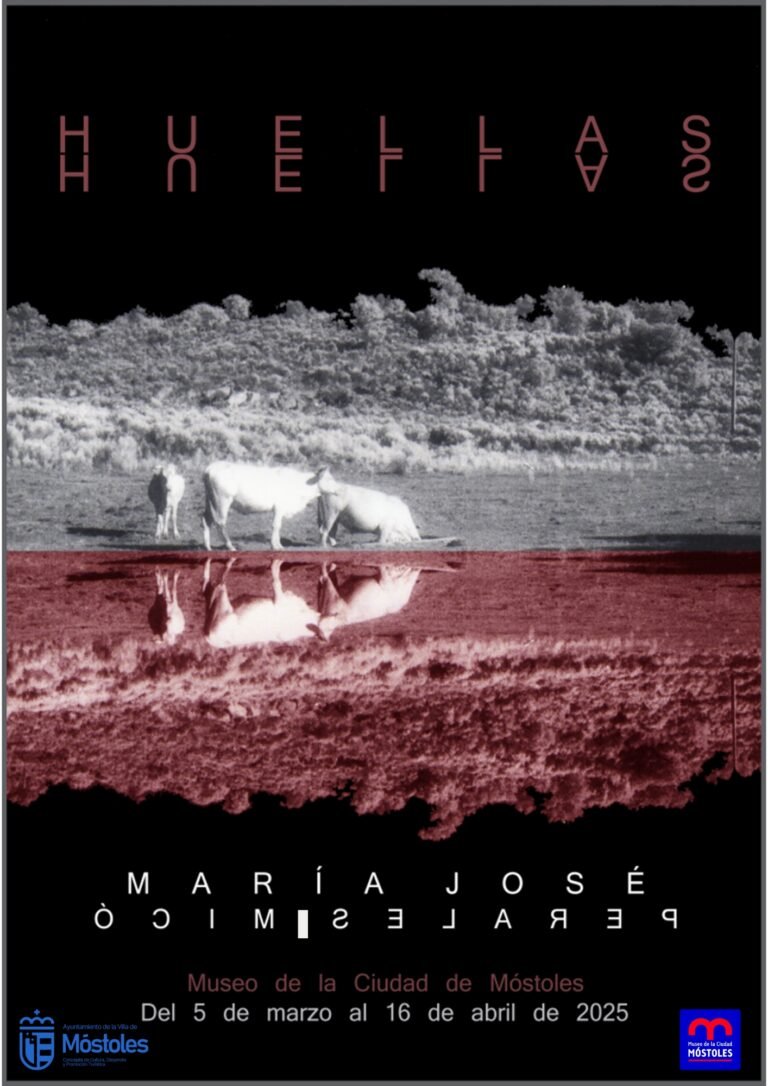 La-artista-Maria-Jose-Perales-Mico-expone-sus-huellas-en.jpeg