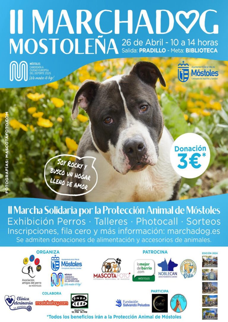 Mostoles-vuelve-a-celebrar-la-II-Marcha-Dog-el-26.jpeg