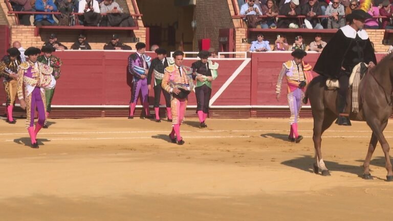 Toros en Móstoles