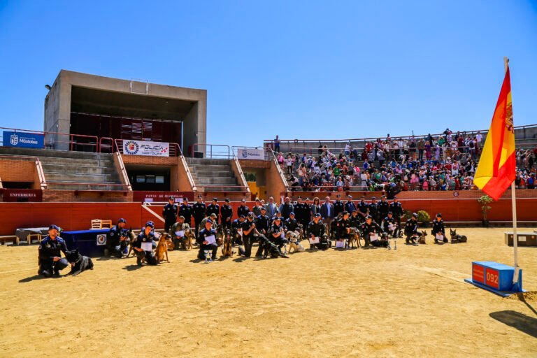 El-Ayuntamiento-de-Mostoles-ha-organizado-el-primer-Campeonato-de.jpeg
