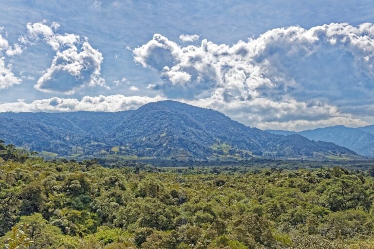 Parque Liana Móstoles
