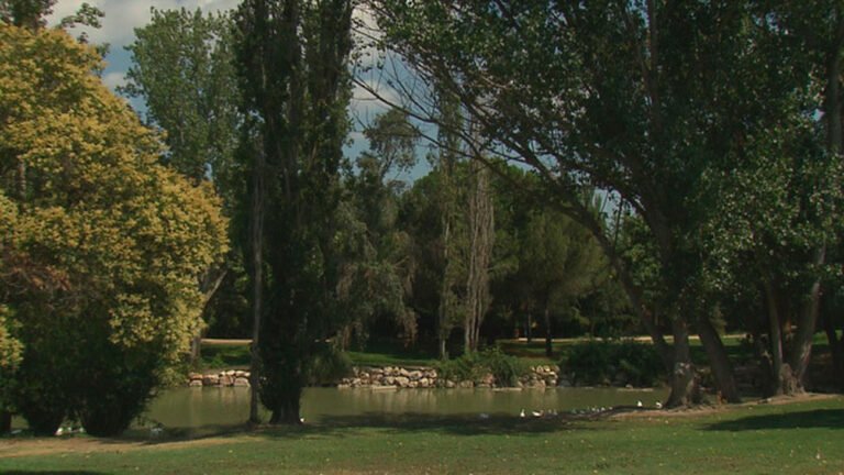 Parque natural de El Soto (Móstoles)