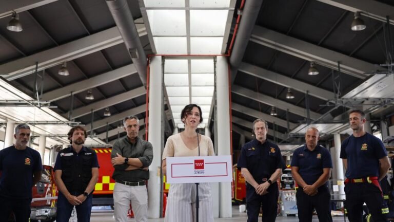 Díaz Ayuso anuncia que la Comunidad de Madrid aprobará ayudas especiales para paliar los efectos de los incendios en la región