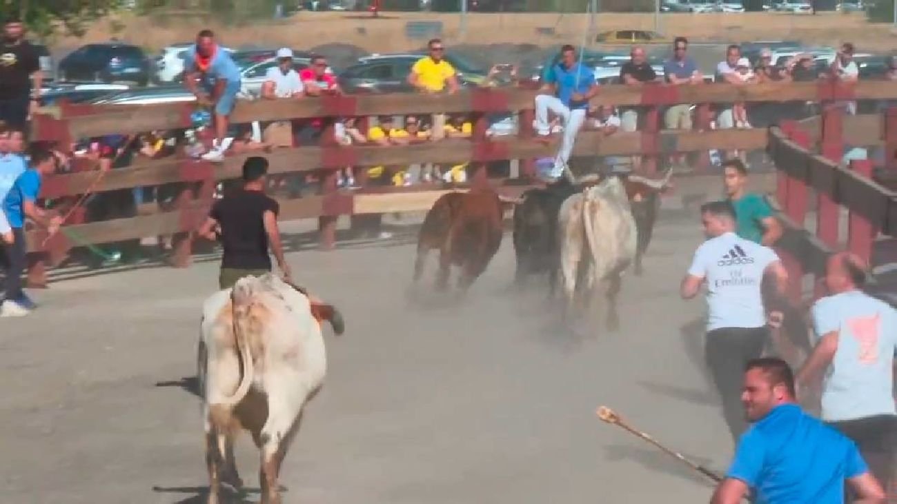 Fiestas-de-Mostoles-con-encierros-y-toros-vigiladas-por-tierra.jpg