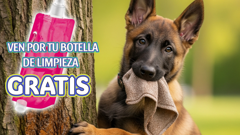Campaña de limpieza de orines de perros en Móstoles