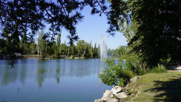Parque Natural del Soto de Móstoles