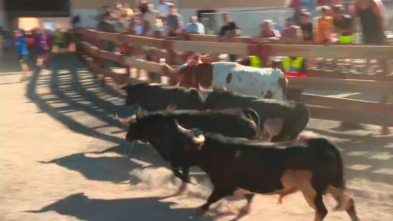Móstoles se vuelca con sus fiestas patronales: encierros, misa rociera y pancetada