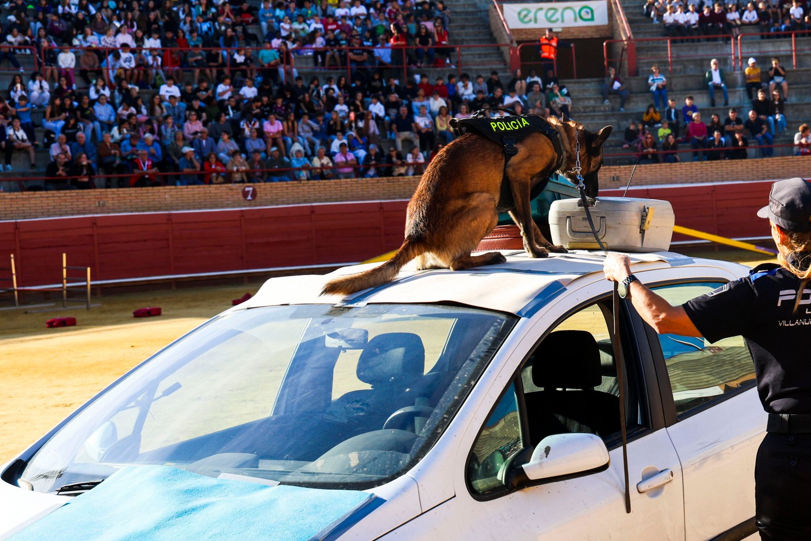 Móstoles rinde homenaje a los 30 años de su Unidad Canina con un emocionante campeonato